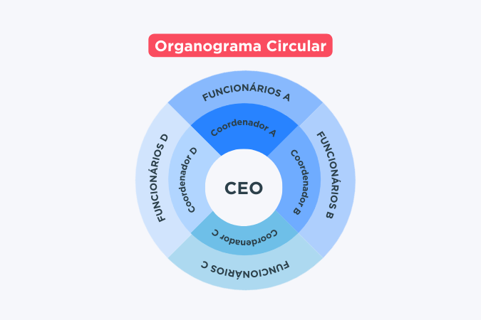 Como é um organograma circular